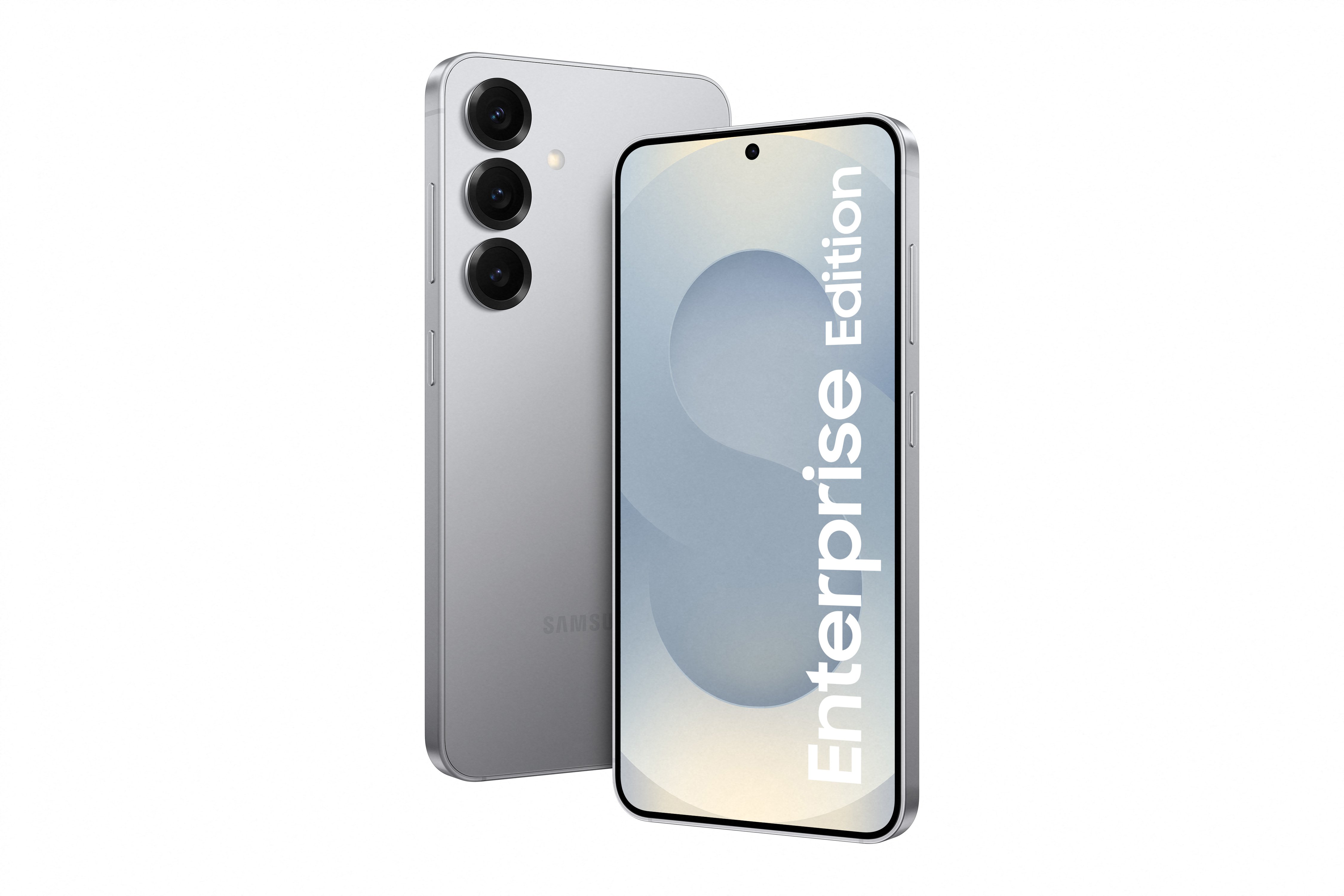 Samsung_Galaxy_S25_SM-S931B_Silver_Shadow_Single_Cutout_Enterprise_Edition_RGB